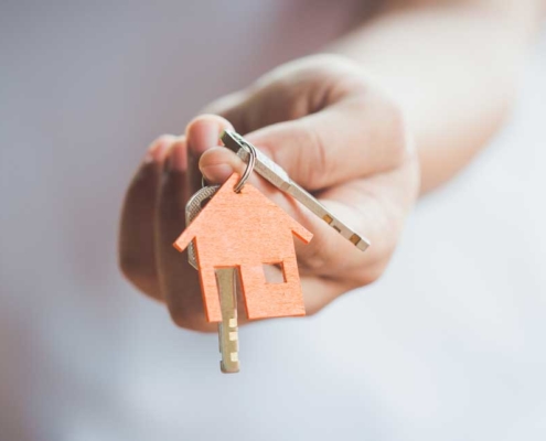 Inquest Property Inspection Sevices Wellington New Zealand