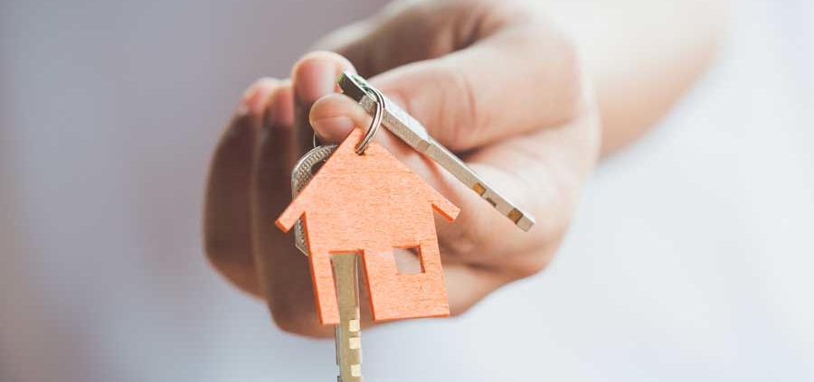 Inquest Property Inspection Sevices Wellington New Zealand